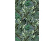 Tapety Yara - Obrazová tapeta na zeď Obrazová tapeta na zeď