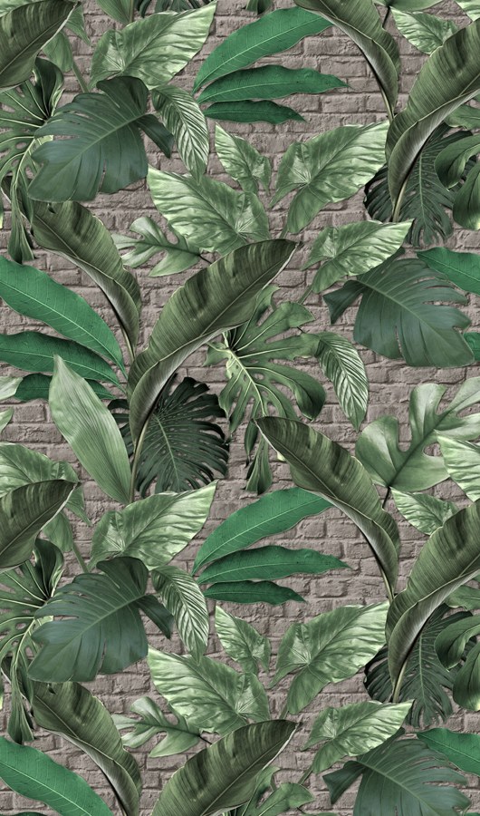 Obrazová tapeta na zeď Obrazová tapeta na zeď