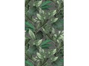 Tapety Yara - Obrazová tapeta na zeď Obrazová tapeta na zeď