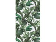 Tapety Yara - Obrazová tapeta na zeď Obrazová tapeta na zeď