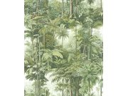 Tapeta na zeď, zelená, palmy, džungle, Arboretum, Graham Brown Premium Tapety Yara