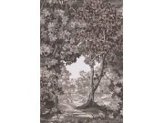 Tapeta na zeď, hnědo-šedá, stromy, Arboretum, Graham Brown Premium Tapety Yara