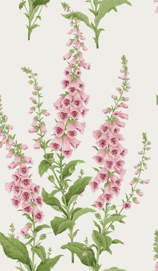 Tapety Yara - Tapeta na zeď Tapeta na zeď - Tapety Yara