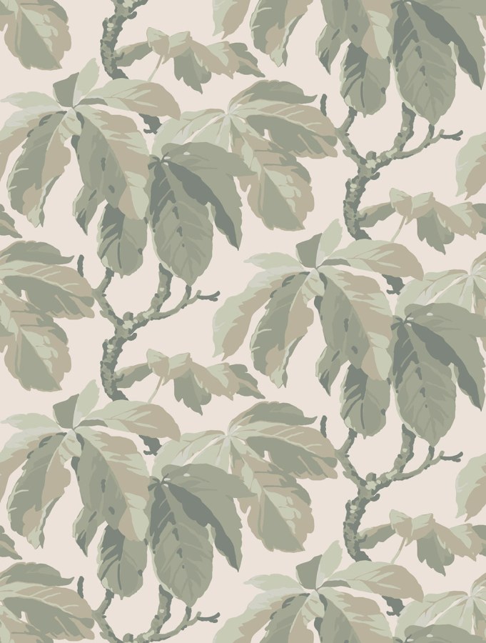 Tapeta na zeď Tapeta na zeď