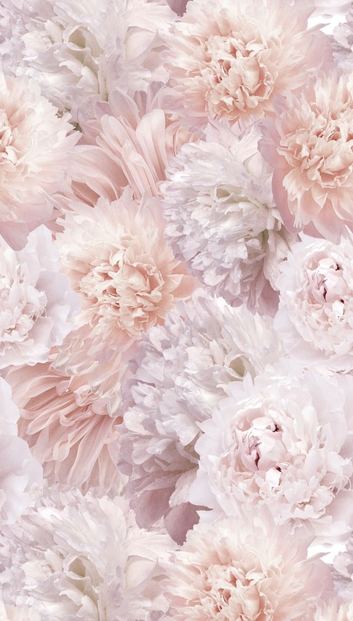 Fototapeta na zeď - Tapety Yara