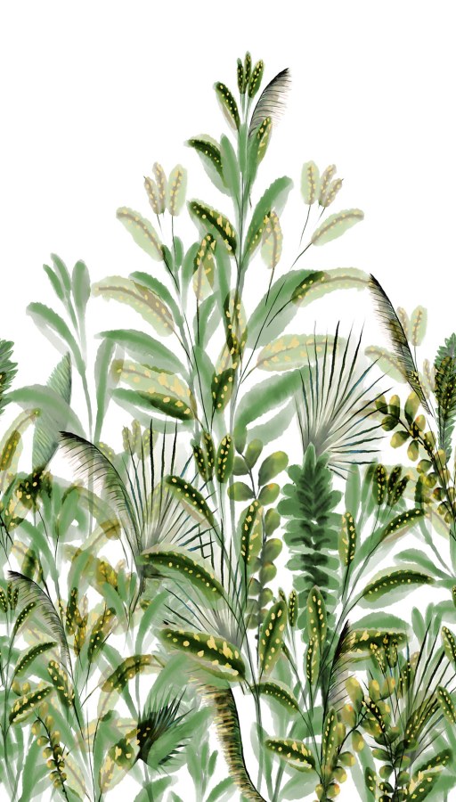 Fototapeta na zeď - Tapety Yara