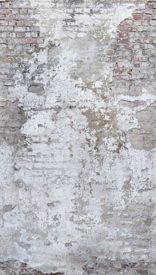 Fototapeta na zeď Fototapeta na zeď