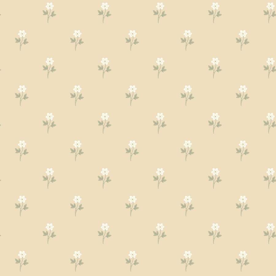 Tapeta na zeď Tapeta na zeď