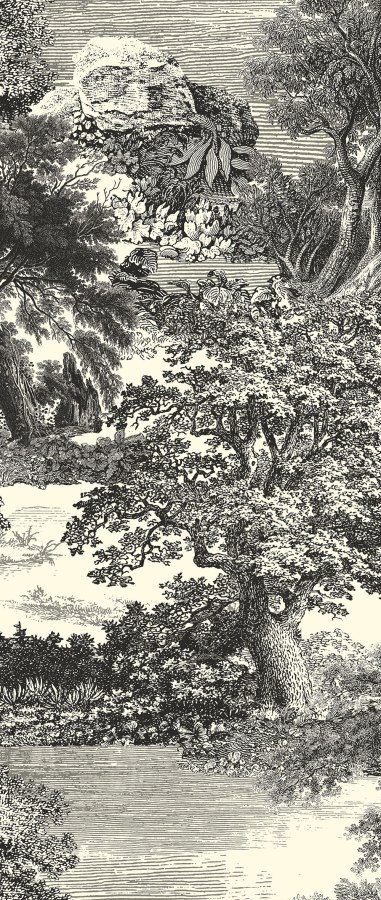 Obrazová tapeta na zeď