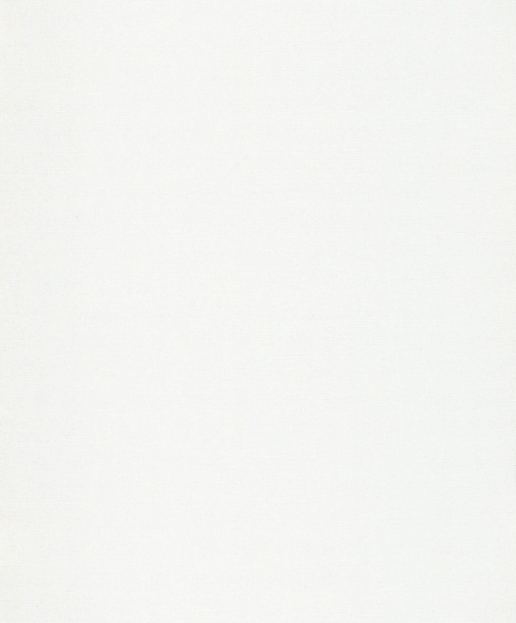 Tapeta na zeď - Tapety Yara