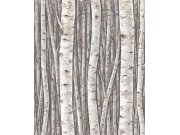 Tapety Yara - Tapeta na zeď, šedo-hnědá, stromy, březový háj, Timber, Marburg Tapeta na zeď, šedo-hnědá, stromy, březový háj, Timber, Marburg