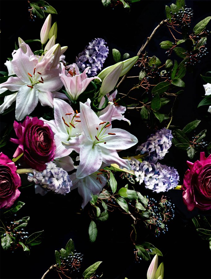 Tapety Yara - Fototapeta na zeď Fototapeta na zeď - Tapety Yara