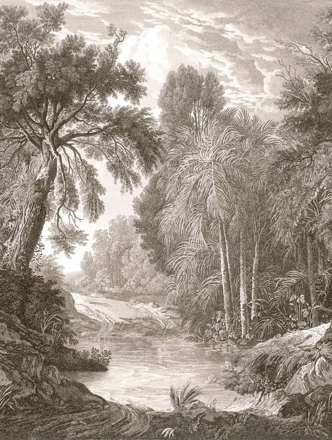 Obrazová tapeta na zeď - Tapety Yara