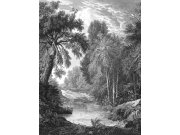 Obrazová tapeta na zeď, černá, les, stromy, Feature Walls, Decoprint