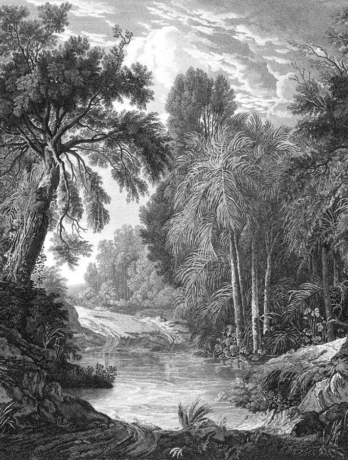 Obrazová tapeta na zeď - Tapety Yara