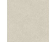 Světle šedá tapeta imitace kůže TA25020 Tahiti