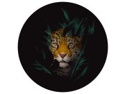 Předklížená tapeta na zeď