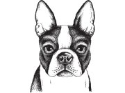 Předklížená tapeta na zeď