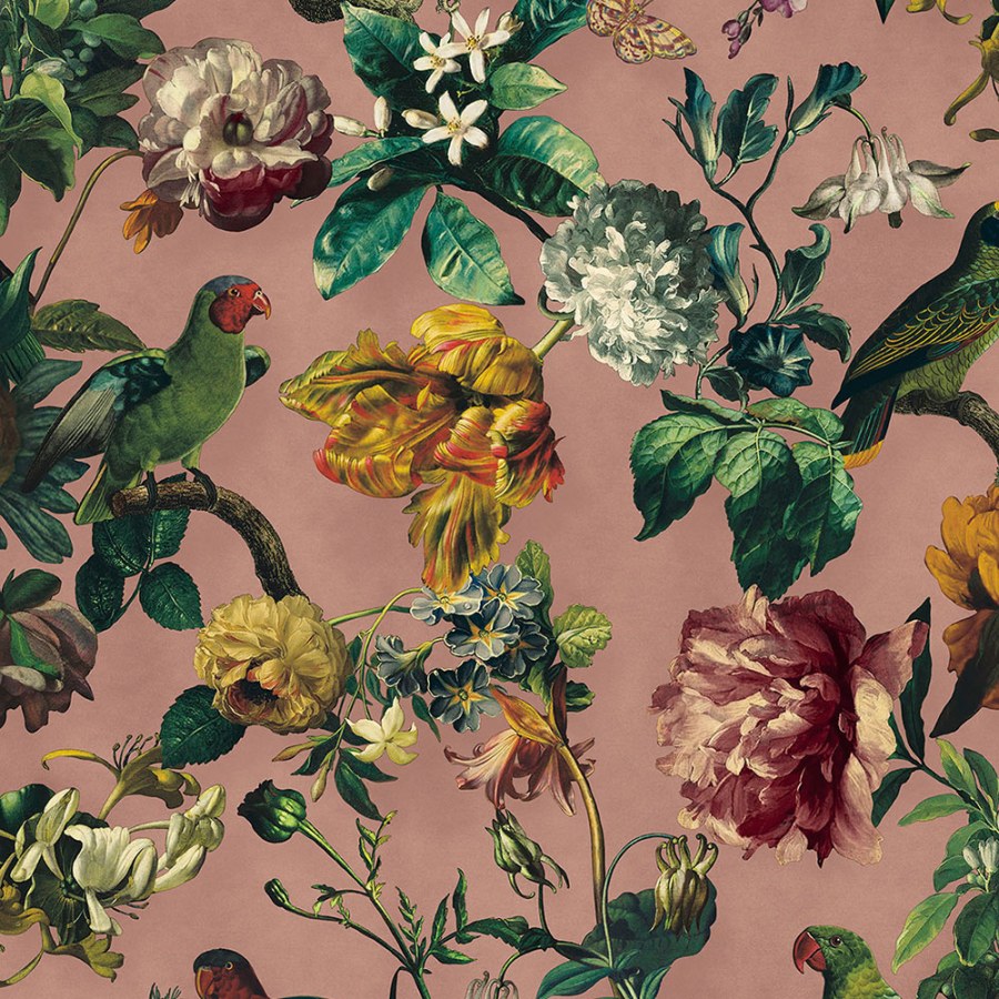 Tapeta Ptáci - Tapety Yara