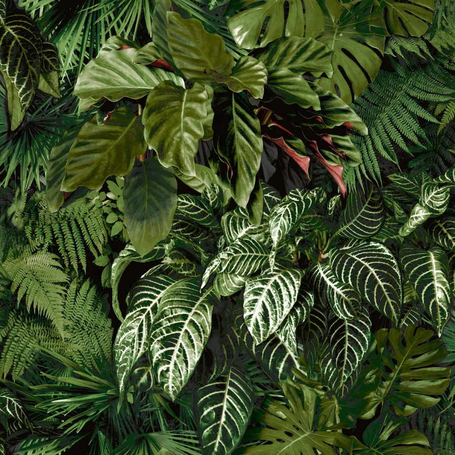 Tapety Yara - Zelená tapeta s listy Zelená tapeta s listy - Tapety Yara