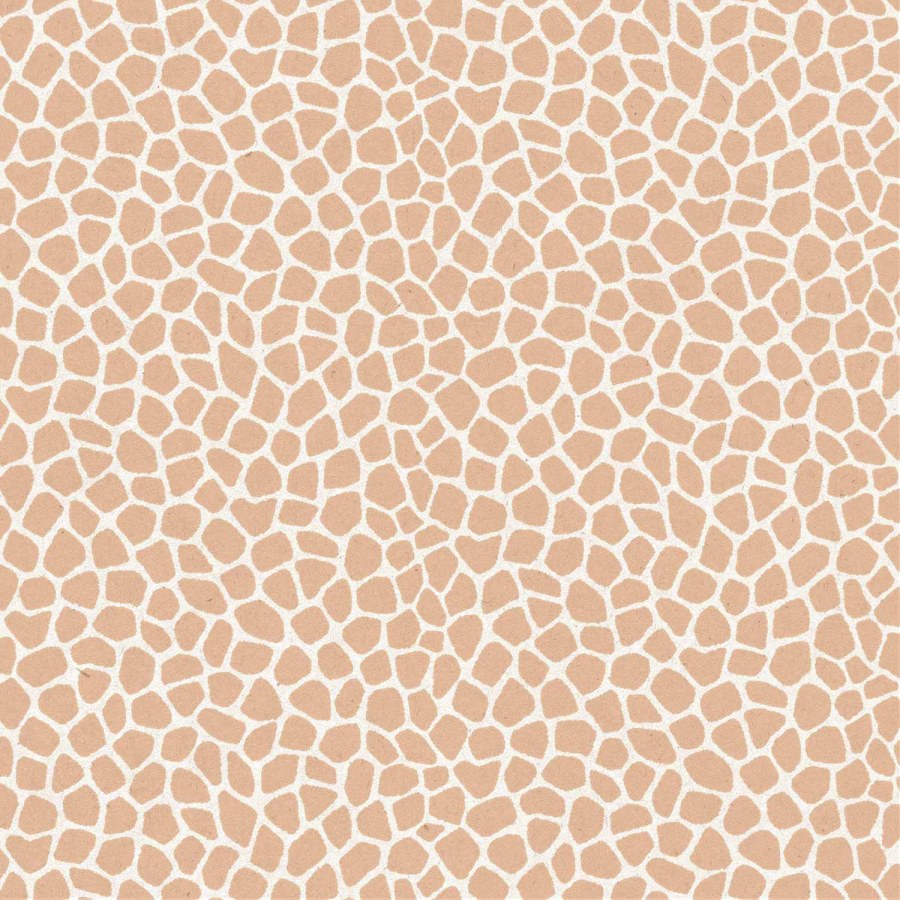 Hnědo-bílá tapeta na zeď - Tapety Yara