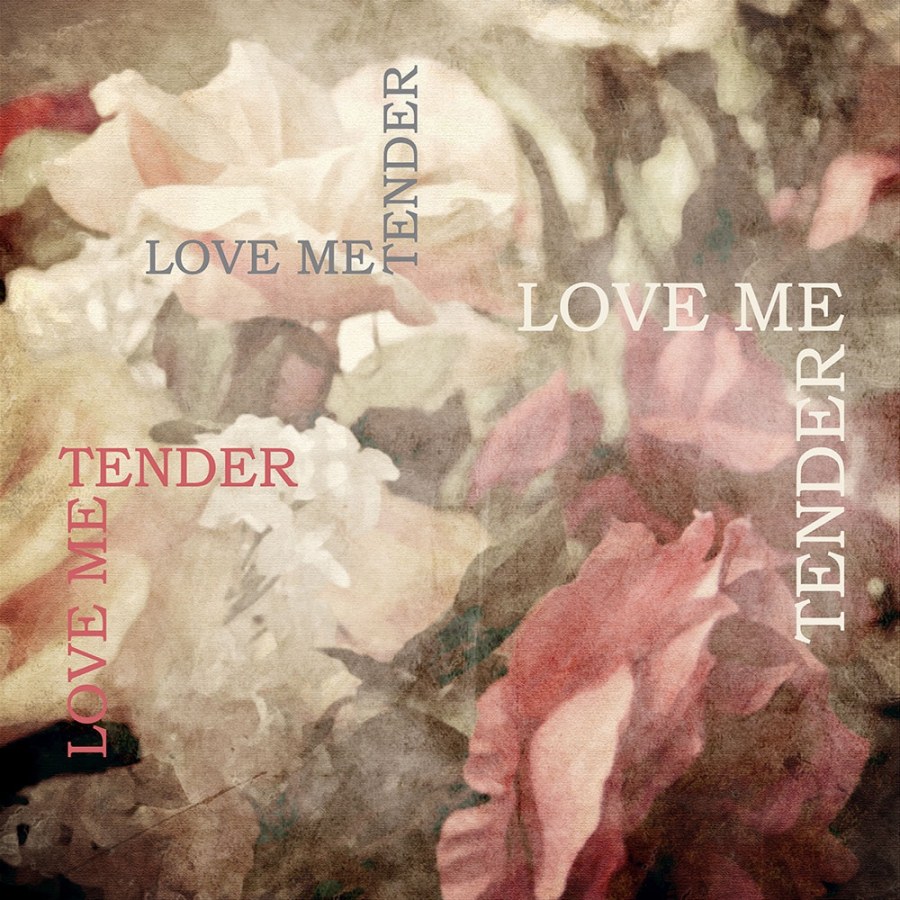 Obrazová tapeta 3004 Lorem Ipsun Růže - Tapety Yara