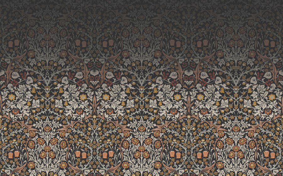 Obrazová tapeta na zeď Obrazová tapeta na zeď