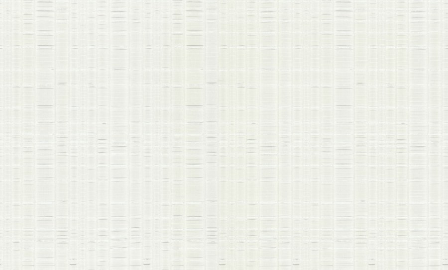 Bílo-stříbrná tapeta - Tapety Yara