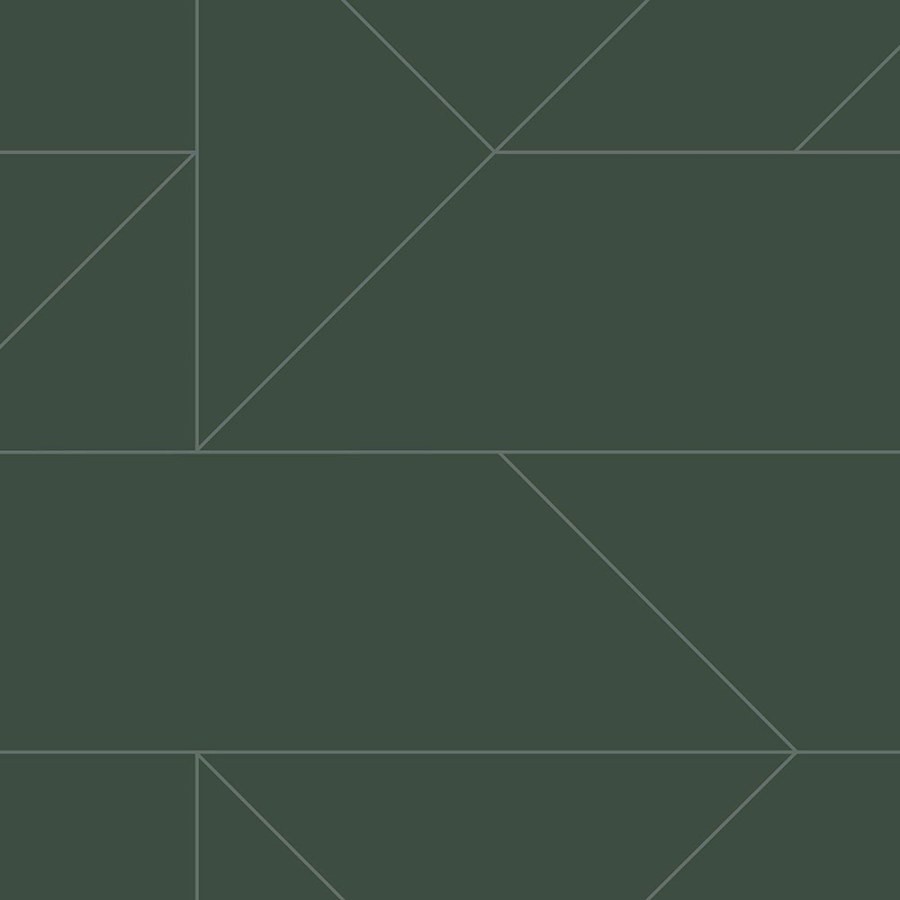 Tmavě zelená geometrická tapeta Tmavě zelená geometrická tapeta