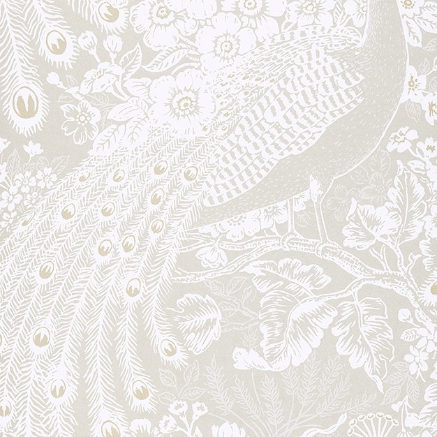 Tapeta s pávy 378003 Tapeta s pávy 378003