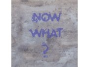 Tapety Yara - Obrazová tapeta 364184 Obrazová tapeta 364184