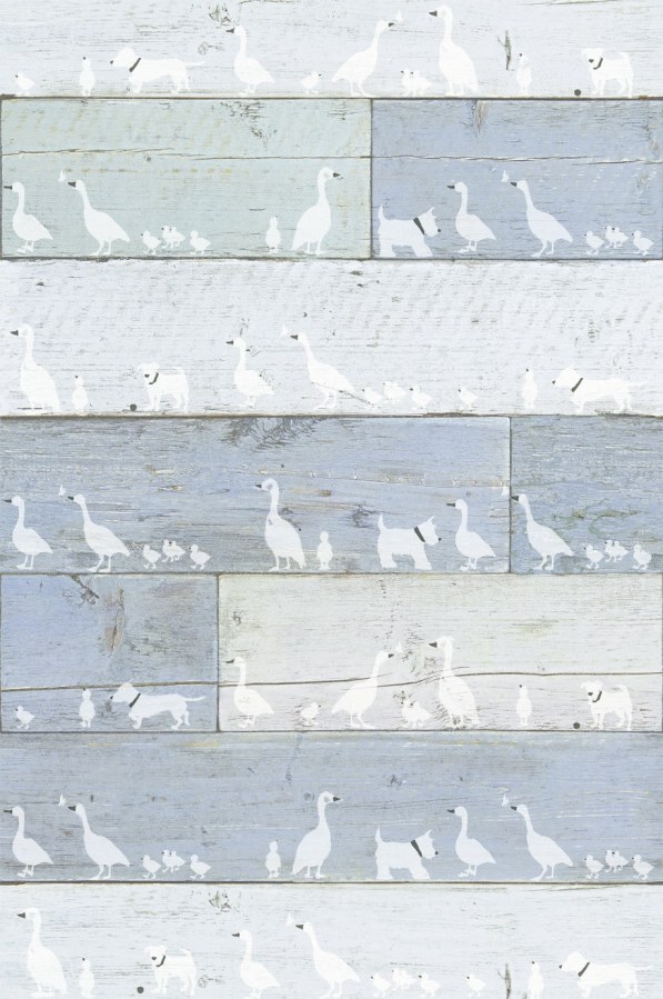 Obrazová tapeta 364179 - Tapety Yara