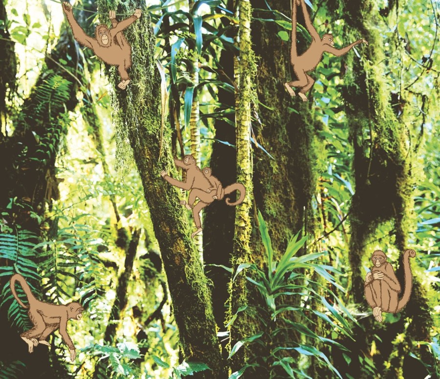 Tapety Yara - Fototapeta - Opice v pralese 364155 Fototapeta - Opice v pralese 364155 - Tapety Yara