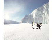 Tapety Yara - Fototapeta na zeď- Ledovec Fototapeta na zeď- Ledovec