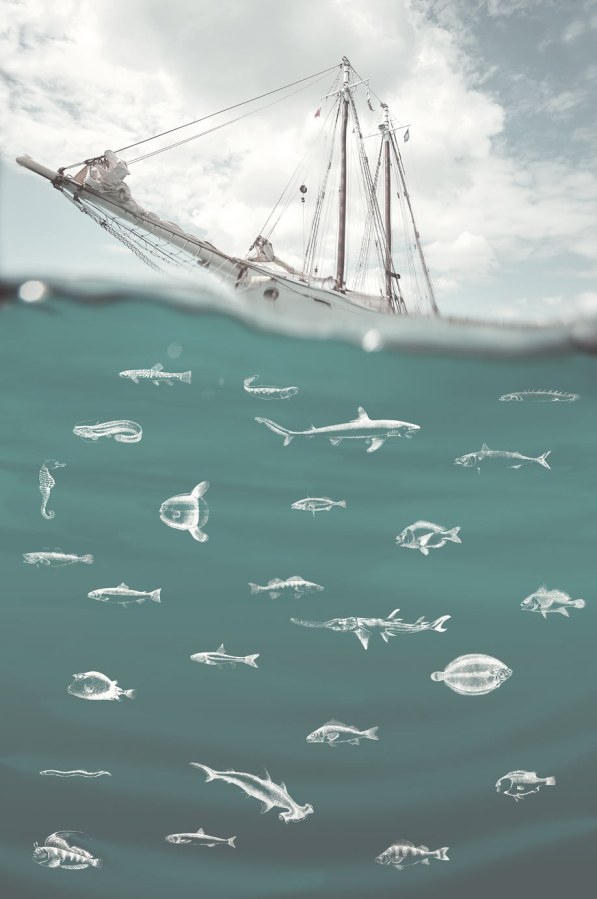 Fototapeta -  Loď na moři 364141 - Tapety Yara