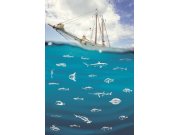 Tapety Yara - Fototapeta - Loď na moři 364140 Fototapeta - Loď na moři 364140