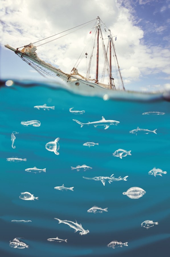 Fototapeta -  Loď na moři 364140 - Tapety Yara