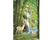 Tapety Yara - Fototapeta - Vodopád Fototapeta - Vodopád