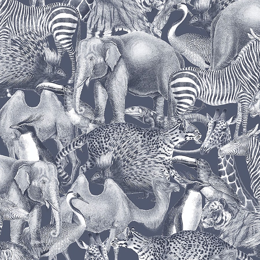 Tapeta se zvířaty - Tapety Yara