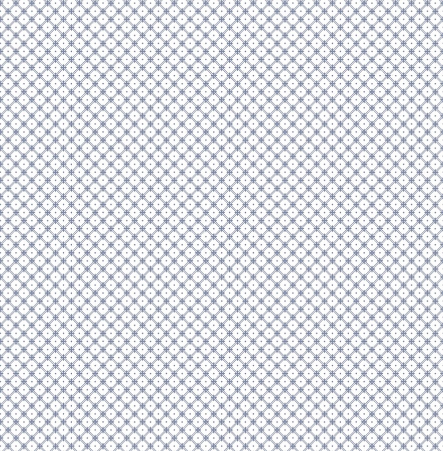 Bílo-modrá mřížková tapeta na zeď - Tapety Yara