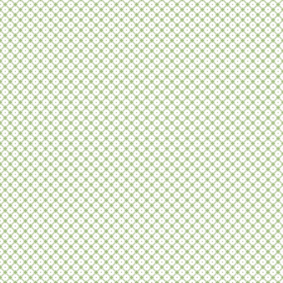 Bílo-zelená mřížková tapeta na zeď Bílo-zelená mřížková tapeta na zeď