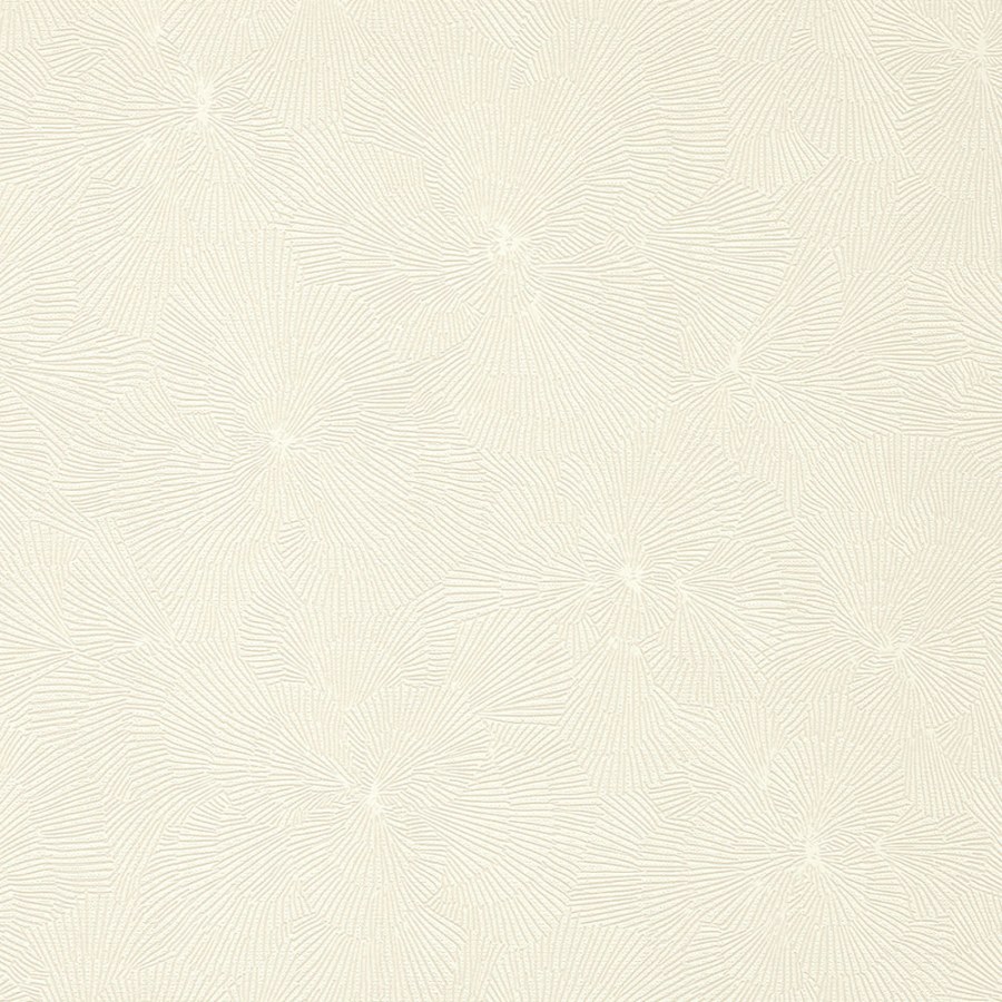 Bílá Tapeta s vinylovým povrchem Bílá Tapeta s vinylovým povrchem