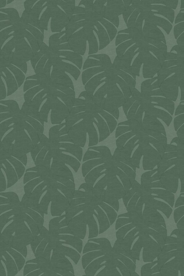 Tapety Yara - Zelená obrazová tapeta s listy monstery - 357228 Zelená obrazová tapeta s listy monstery - 357228 - Tapety Yara