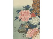 Obrazová tapeta s pávem a pivoňkami - 357233