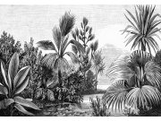 Tapety Yara - Černobílá obrazová tapeta - džungle Černobílá obrazová tapeta - džungle