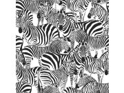 Černobílá tapeta se zebrami 139155