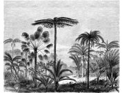 Tapety Yara - Černobílá obrazová tapeta - džungle Černobílá obrazová tapeta - džungle