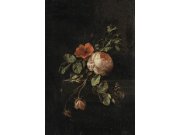 Obrazová tapeta s růžemi, 186 x 279 cm, Blush, Esta Home Tapety Yara