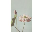 Obrazová tapeta na zeď, květ leknínu, 186 x 279 cm, Blush, Esta Home Tapety Yara