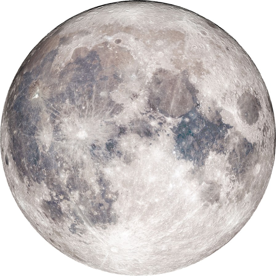 Předklížená tapeta na zeď Předklížená tapeta na zeď